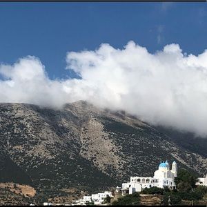 Meet your Posher, Tess